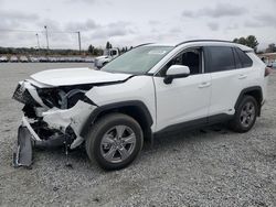 Salvage cars for sale at Mentone, CA auction: 2025 Toyota Rav4 XLE