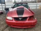 2000 Ford Mustang