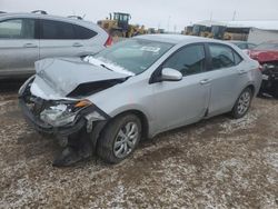 Salvage cars for sale at Brighton, CO auction: 2014 Toyota Corolla L