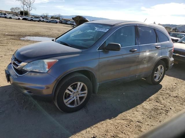 2010 Honda CR-V EX