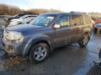 2011 Honda Pilot EXL