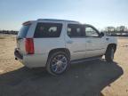 2010 Cadillac Escalade Luxury