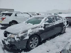 Salvage cars for sale at Magna, UT auction: 2013 Acura TL Tech