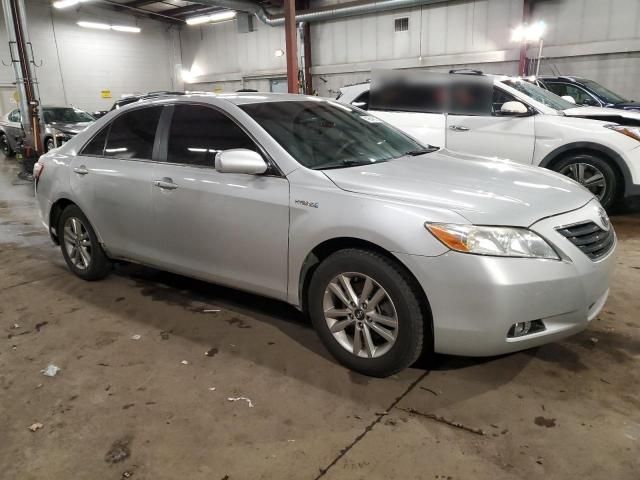 2009 Toyota Camry Hybrid