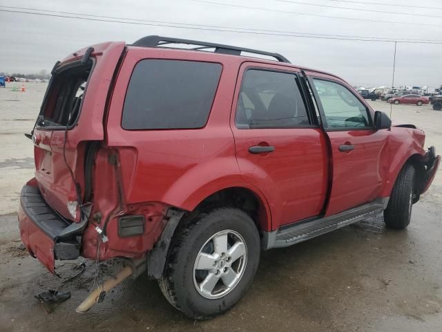 2011 Ford Escape XLT