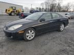 2005 Lexus ES 330