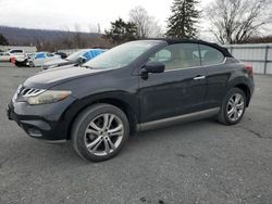 Salvage cars for sale at Grantville, PA auction: 2011 Nissan Murano Crosscabriolet