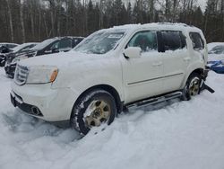 Honda salvage cars for sale: 2015 Honda Pilot Touring