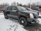 2008 Cadillac Escalade Luxury