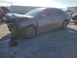 Salvage cars for sale at Arcadia, FL auction: 2008 Toyota Camry LE