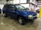 2005 Chevrolet Trailblazer LS