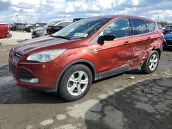 Salvage cars for sale at Indianapolis, IN auction: 2016 Ford Escape SE