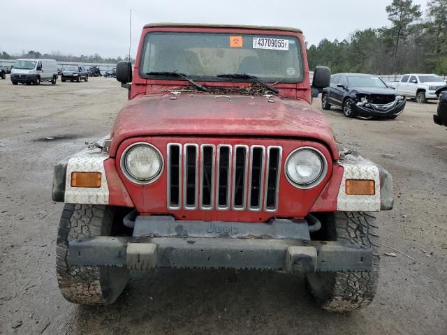 2002 Jeep Wrangler / TJ SE