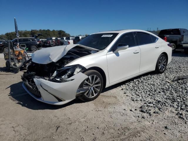 2019 Lexus ES 350