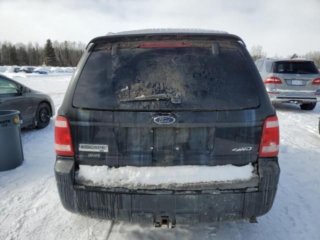 2009 Ford Escape XLT