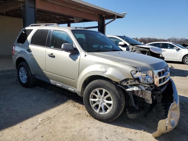 2010 Ford Escape XLT