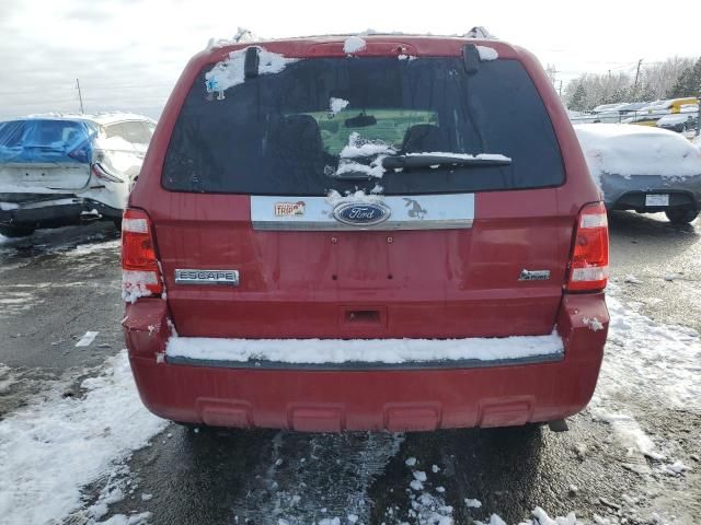 2011 Ford Escape Limited