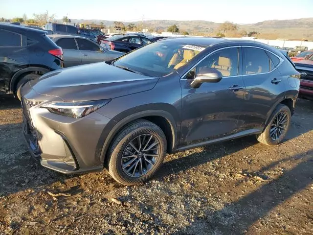 2023 Lexus NX 350H