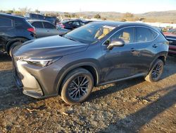 Salvage cars for sale at San Martin, CA auction: 2023 Lexus NX 350H