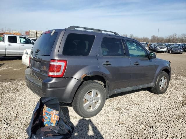 2011 Ford Escape XLT