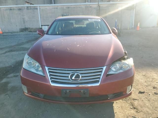 2010 Lexus ES 350