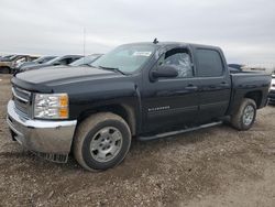 Flood-damaged cars for sale at auction: 2013 Chevrolet Silverado C1500 LT