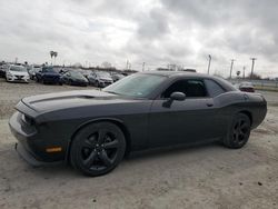 Dodge salvage cars for sale: 2014 Dodge Challenger R/T