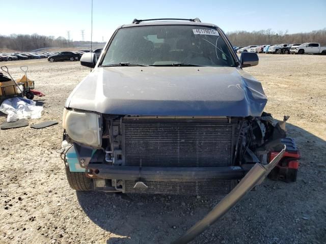 2010 Ford Escape Limited