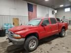 2000 Dodge Dakota Quattro