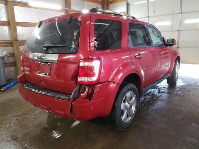 2010 Ford Escape Limited