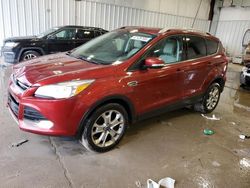 Salvage cars for sale at Franklin, WI auction: 2014 Ford Escape Titanium