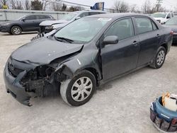 Salvage cars for sale at Walton, KY auction: 2010 Toyota Corolla Base