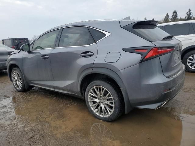 2021 Lexus NX 300 Base