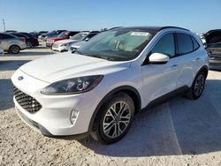 Salvage cars for sale at West Palm Beach, FL auction: 2020 Ford Escape SEL