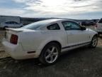 2008 Ford Mustang