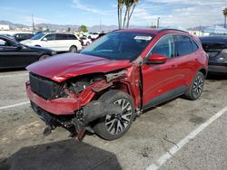 Salvage cars for sale at Van Nuys, CA auction: 2020 Ford Escape SEL