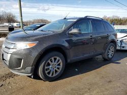 Salvage cars for sale at auction: 2013 Ford Edge SEL