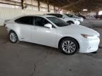 2013 Lexus ES 300H