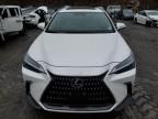 2022 Lexus NX 350