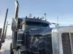 2019 Peterbilt 389