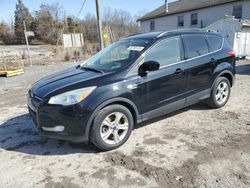 Ford Escape se salvage cars for sale: 2016 Ford Escape SE