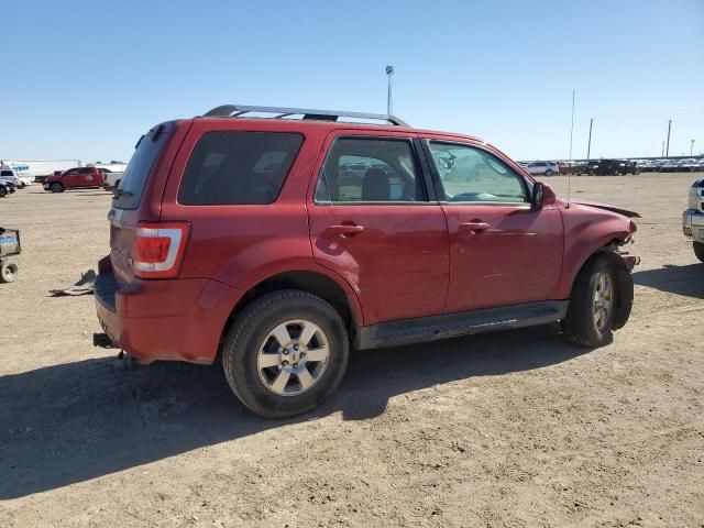 2011 Ford Escape Limited