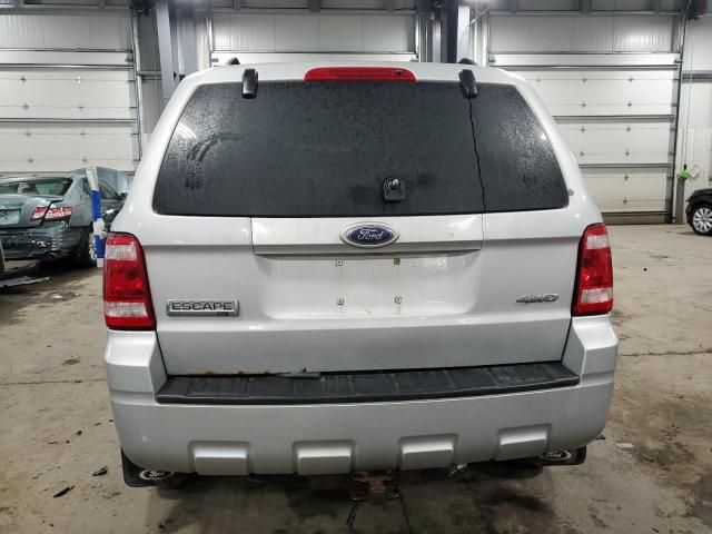 2008 Ford Escape XLT