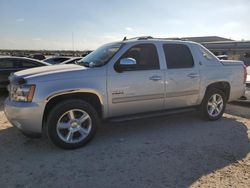 Salvage cars for sale from Copart San Antonio, TX: 2013 Chevrolet Avalanche LT