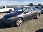 2009 Toyota Camry Hybrid