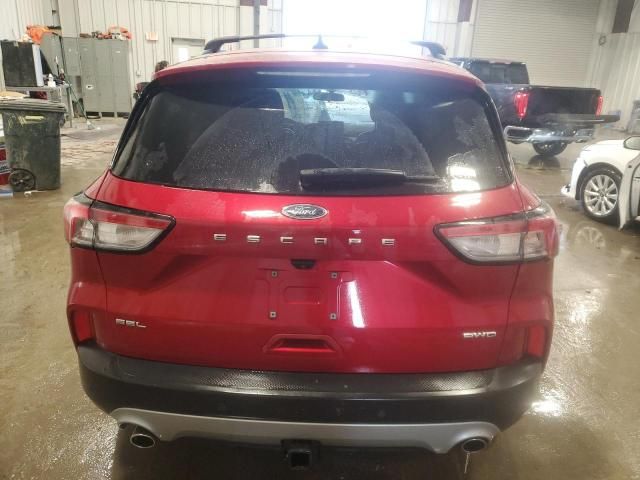 2022 Ford Escape SEL