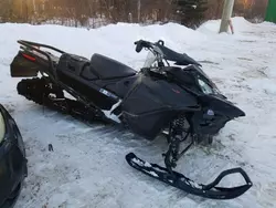 Skidoo salvage cars for sale: 2023 Skidoo 2023 Skidoo Expedition