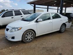 Salvage cars for sale at Tanner, AL auction: 2010 Toyota Corolla Base