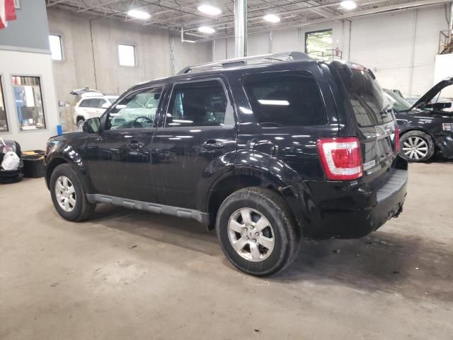 2010 Ford Escape Limited