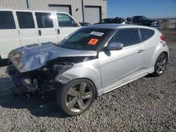 Salvage cars for sale at Earlington, KY auction: 2013 Hyundai Veloster Turbo